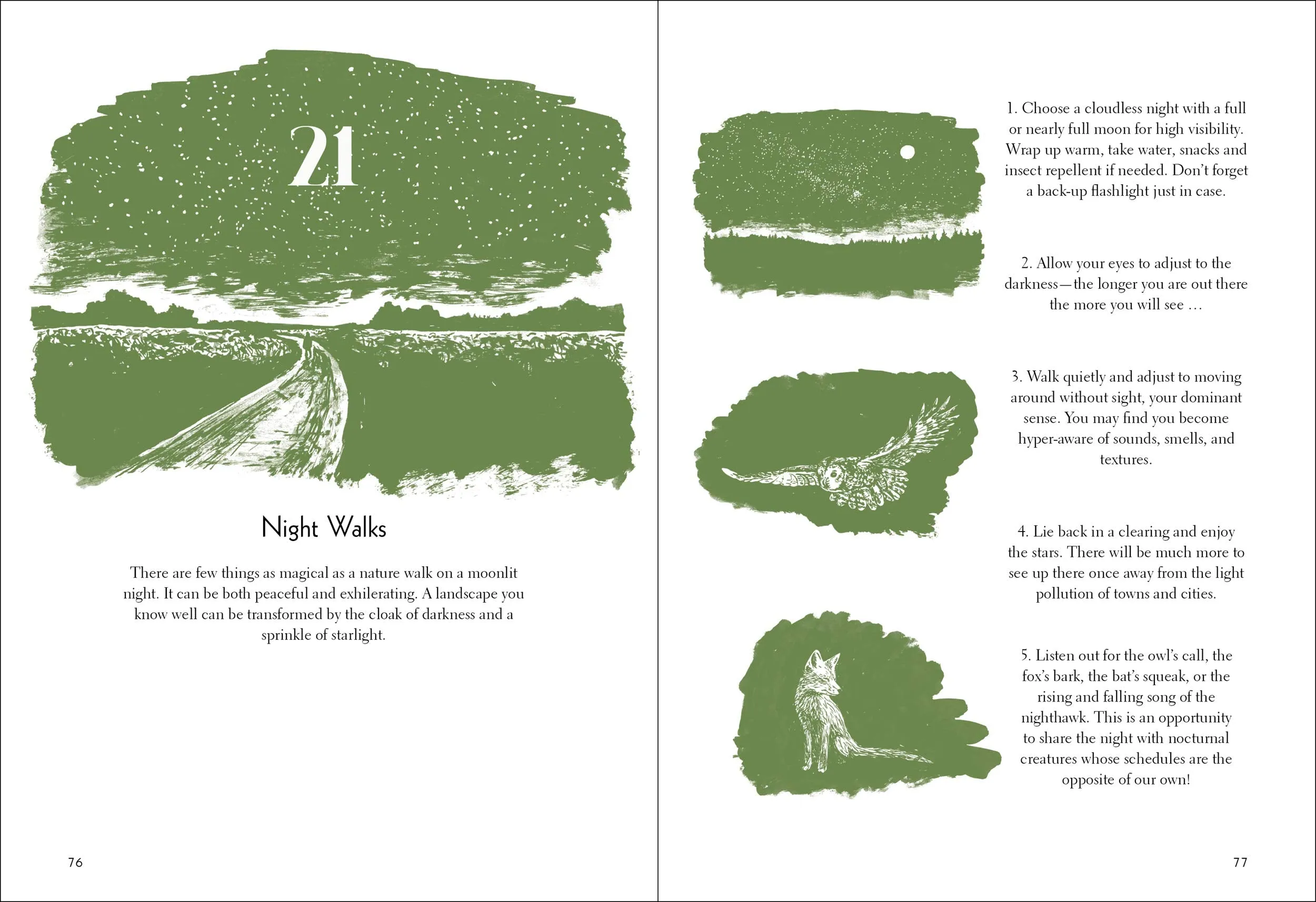 50 Things to Do in the Wild (Explore More)