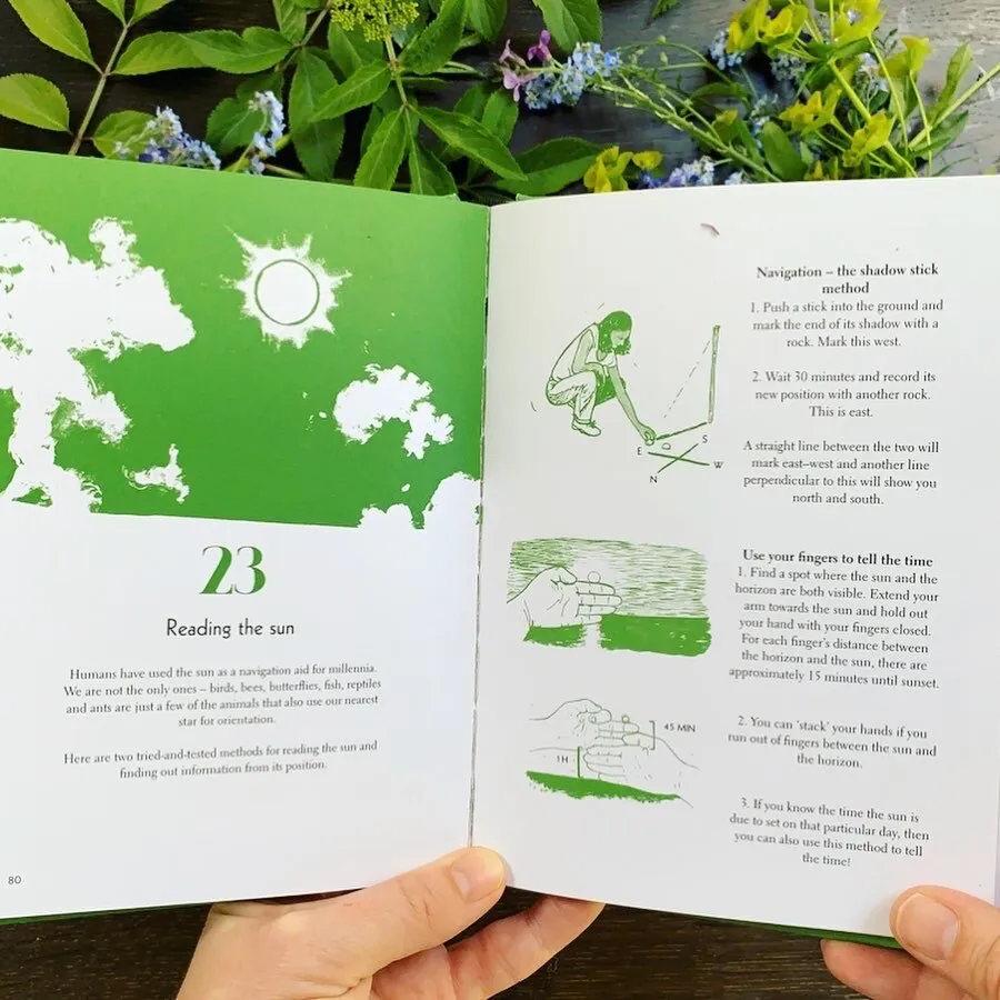 50 Things to Do in the Wild (Explore More)