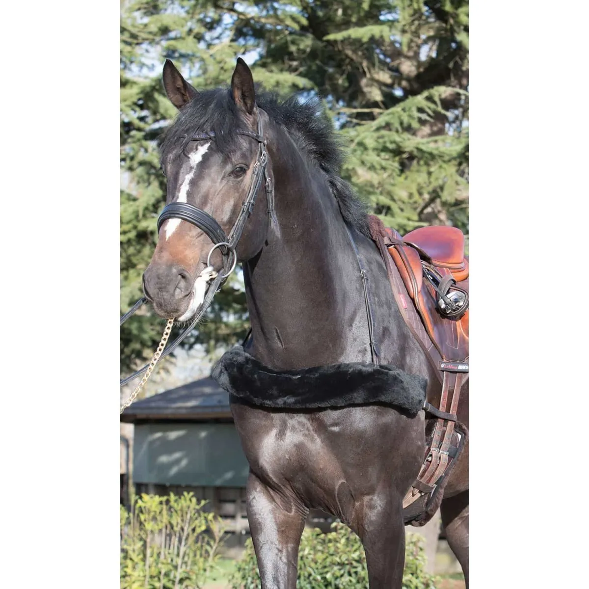 LeMieux Breastplate Cover
